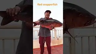 red#snapperfish #jackpot #fishing
