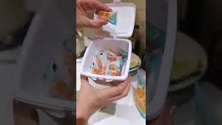 Meet WhiteCat Dishwasher Machine Tablets!