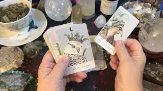 White Sage Tarot by Theresa Hutch Deck Flip Through #tarotcards #tarot  #deckwalkthrough #minitarot