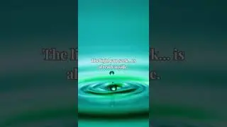 Your Light Knows the Way | Daily Spiritual Reset (30s Grounding) #dailyaffirmation #short  #selfcare