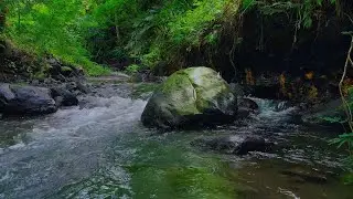 Healing Water Flow - Sleep and Sweet Dream with Nature Vibe | sleep - relax - enjoy life - ASMR