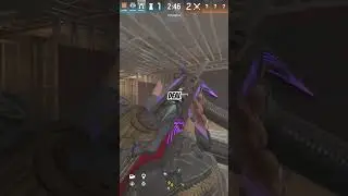 PARAGON ELITE VALKYRIE (SIEGE X)