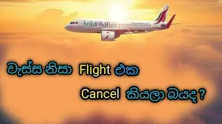 How To Check Sri Lankan Airlines Flight Status