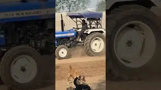 Shelter ki Levelling Karai #doglover #ngo #dogshelter #shortsfeed