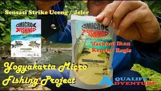 YOGYAKARTA MICRO FISHING PROJECT ❗️ SENSASI STRIKE UCENG / JELER ❗️ JACKPOT IKAN KEPEK / REGIS...