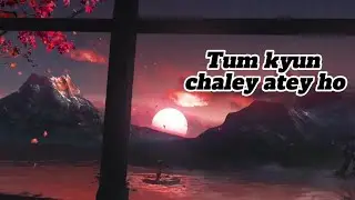 Tum kyun chaley atey ho || Lyrical || Vicky Singh || Nature love || Nocopyright song