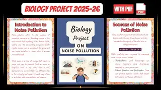 Noise Pollution Biology Project File for Class 12 (2025) | Effects, Solutions & Real-Life Case Study