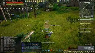 Hunting Guide: Olvia&rsquo;s Academy Training Course Part 6 (2026) | Black Desert Online