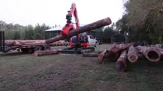 Mini excavator unloading logs | Rotobec grapple