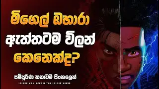 2027 Beyond the Spider Verse එන්න කලින් | Across the Spider Verse එක මතක් කරගමු | Explain Sinhala