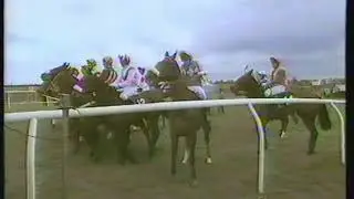 1992 Oddbins Handicap Hurdle - Liverpool 03-04-1992