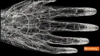 Forget Fingerprints: Vein Scanning Is Safer, Faster