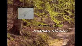 Jonathan Reichert - Raven's Wood - Shaman Double Flute & Drum