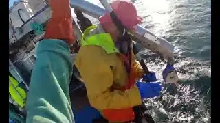 (2024) Dungeness Crab Fishing, SEA BUCK. Start 11am Finish trip 10:30 pm same day.