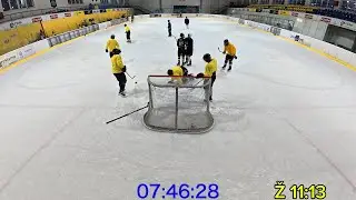 Hokej sestřih sobota 29.11.2025