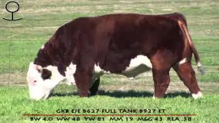 GKB EJE B627 FULL TANK B927 ET