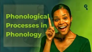 Understanding Phonological Processes in Phonology