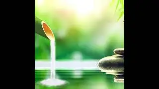Nature's ASMR: Soothing Sounds of Bamboo and Water                #zenmusic #relax #soothingsounds