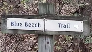 blue beech trail off looking for a lost truck never found lol