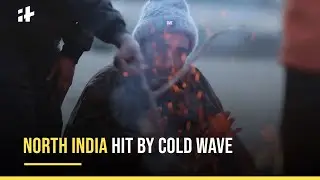 North India Shivers, Severe Cold Conditions To Prevail For Next 48 Hours: IMD