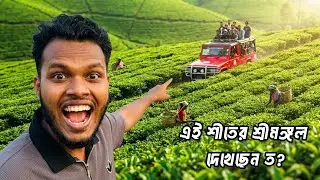 একদিনে শ্রীমঙ্গলের সব জায়গা | শ্রীমঙ্গল ভ্রমণ ২০২৫ | ekdine sreemangale kothay ghurbo