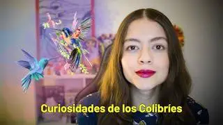 ASMR 50 Curiosidades de los colibríes