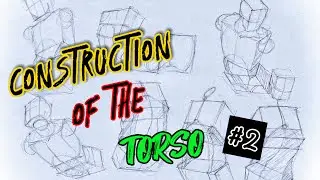 Draw Better Torsos in Any Angle With This One Method