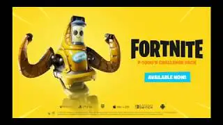 FORTNITE -P -1000 Challenge pack
