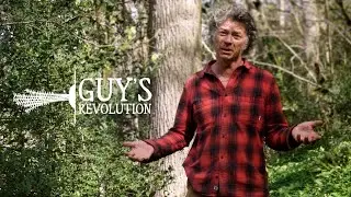 Guy's Carbon Revolution