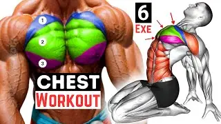 Chest Workout | Best Upper, Middle & Lower Chest Exercises
