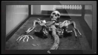 Archive Video. Mermaid Skeleton