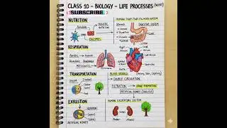 🧬 Class 10 Life Processes ✍️ Photosynthesis, Respiration & More 🌱Quick Notes #Shorts #Viral #biology