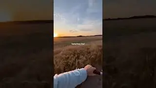 🤎 Божье удаление часто является божественным перенаправлением.