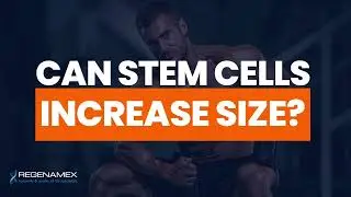 Universal Basic Normal-Penis STEM Cell Research! Going beyond UBI!