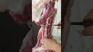 Just some satisfying meat cutting. Pure ASMR. ✨ . Subscribe for more! #shorts  #chefknife #bbqmeat