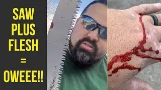 HLMG VLOG #31
