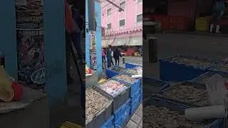 рыбная улица в Мексике