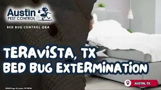 Teravista, TX Bed Bug Extermination (512) 777-1339