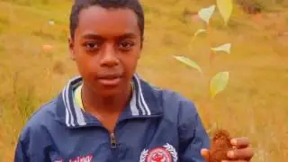 Zara Aina Reforestation - Commune Bongatsara (Anjomakely) - April 29th, 2017