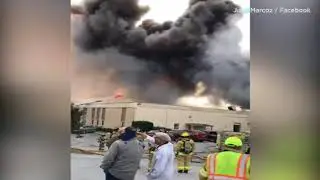 Raw video: Plant fire in New Windsor, NY