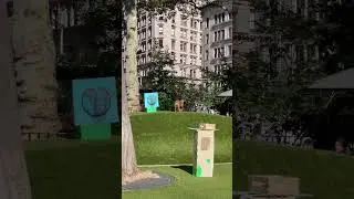 Cute dogs at a NYC dog park