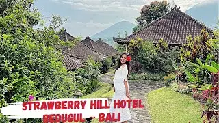 Strawberry Hill Hotel Bedugul Bali | rekomendasi hotel bali | BALI TRAVEL VLOG
