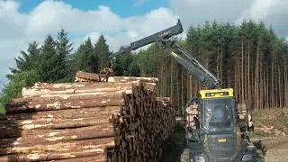 P & R REGAN ~ TIMBER HARVEST 2023