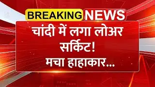 चांदी में लगा लोअर सर्किट, मचा हाहाकार! Silver Price | Share Market News