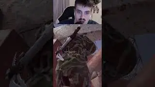 Три ЙОКИ = Три КИЛА! #rust #triffon #трифон #раст