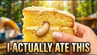 🔥 POV Camp Cooking | I Baked a Cake From Ant Larvae