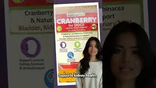 Dog Cranberry Supplement   Natural Dog UTI Treatment & Kidney Support for Dogs