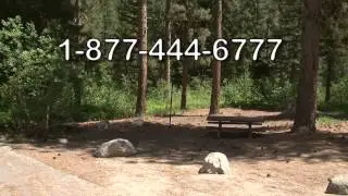 Bad Bear Campground in Idaho