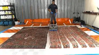 Satisfying 9x12 wool rug washing || Rug Spa Episode 12