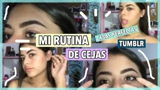 ¿COMO ME MAQUILLO MIS CEJAS? |Rutina de cejas| -Santaella